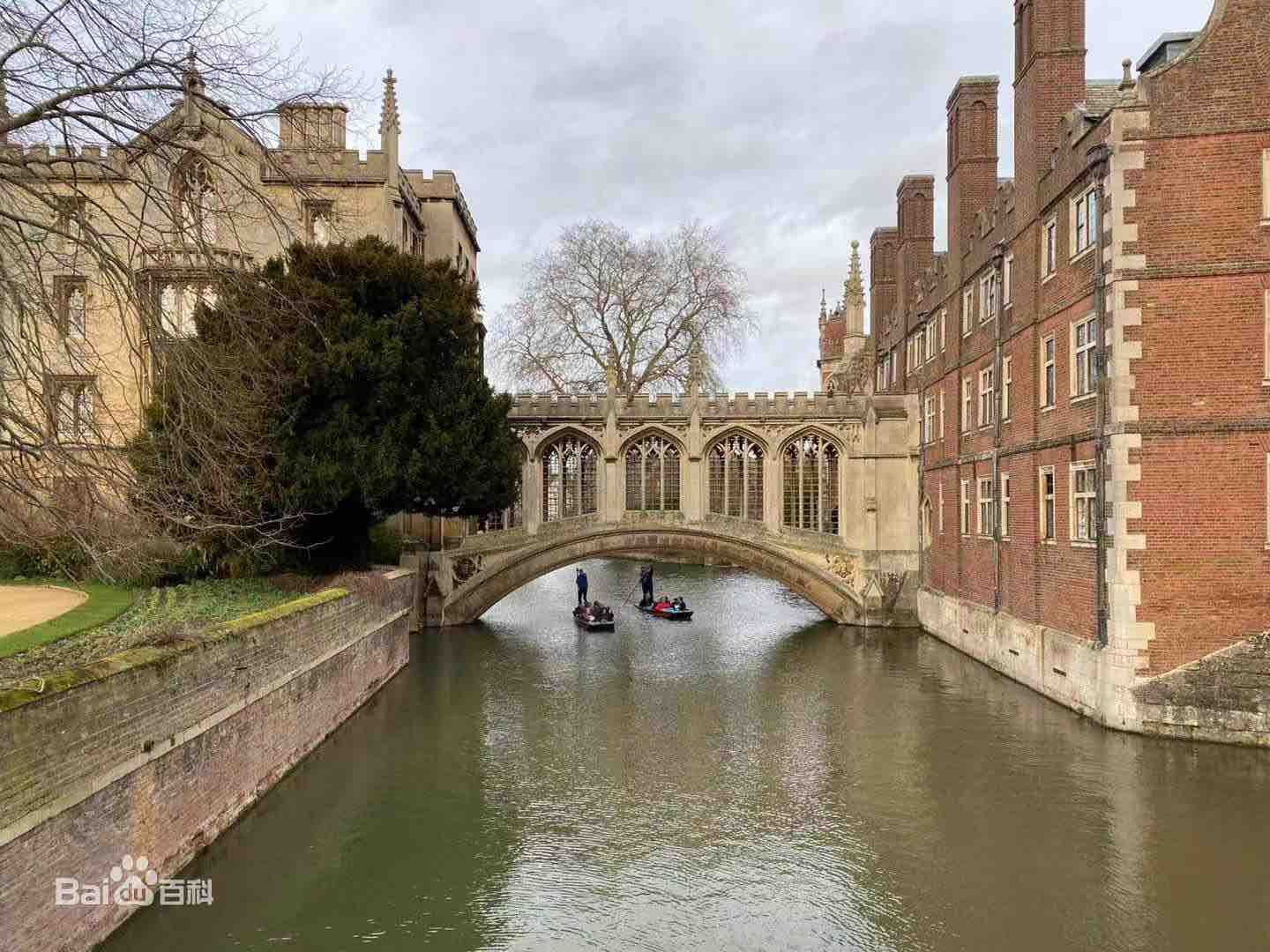 扒一扒,大厂最青睐的大学原来是这些……(图12) 扒一扒,大厂最青睐的大学原来是这些……(图12)