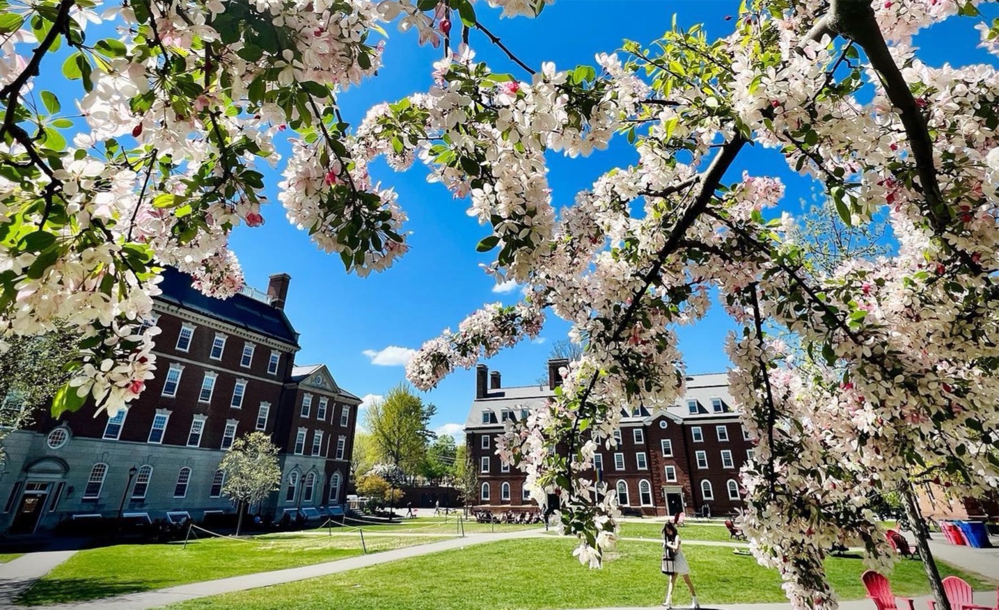 美高案例|斩获美高顶尖 Phillips Exeter Academy录取的H同学,是如何做到的?(图4) 美高案例|斩获美高顶尖 Phillips Exeter Academy录取的H同学,是如何做到的?(图4)