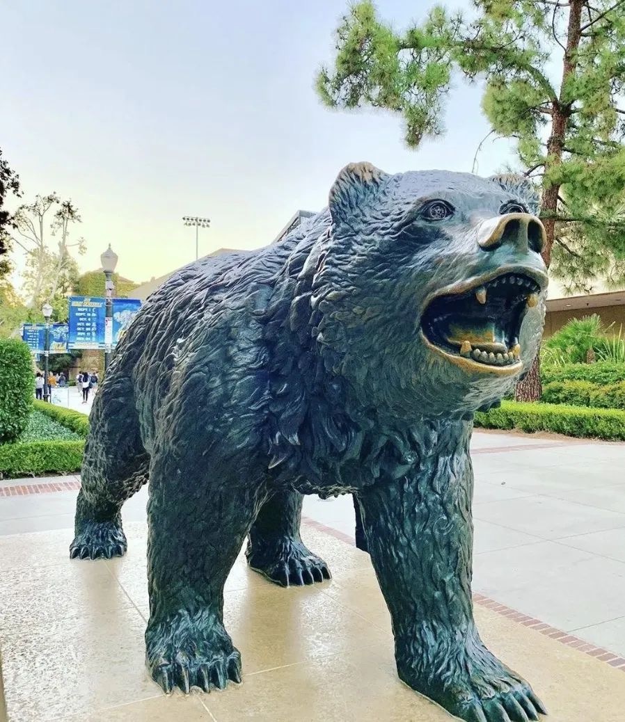 CC转学|TAP和TAG有什么不同?了解TAP项目,稳妥转学UCLA!(图4) CC转学|TAP和TAG有什么不同?了解TAP项目,稳妥转学UCLA!(图4)