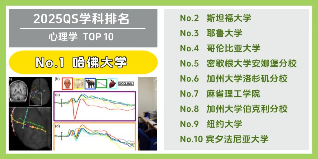 美国大学 Top 10 受欢迎专业大盘点！(图4)